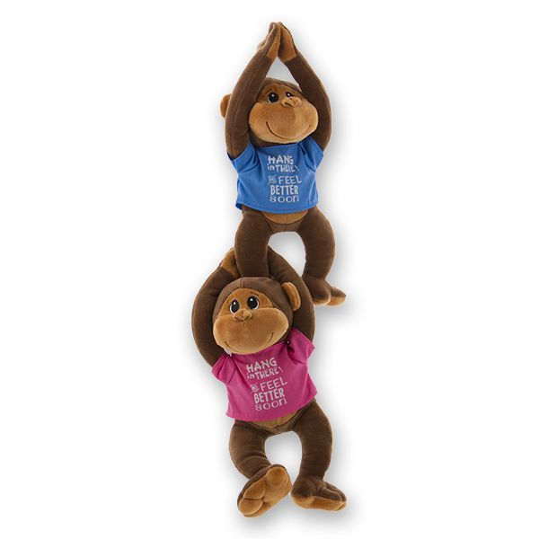 Hang in there and you'll feel better soon monkey