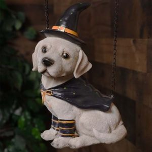 Dog With Witch Hat & Cape