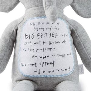 Big Brother Elephant