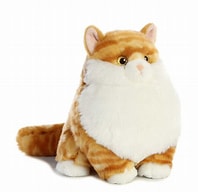 Butterball Tabby