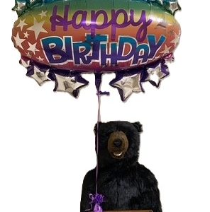 Happy Birthday Balloon Gift