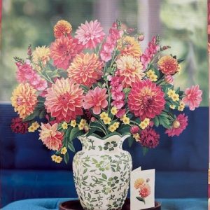 Grande Dahlia Sunrise